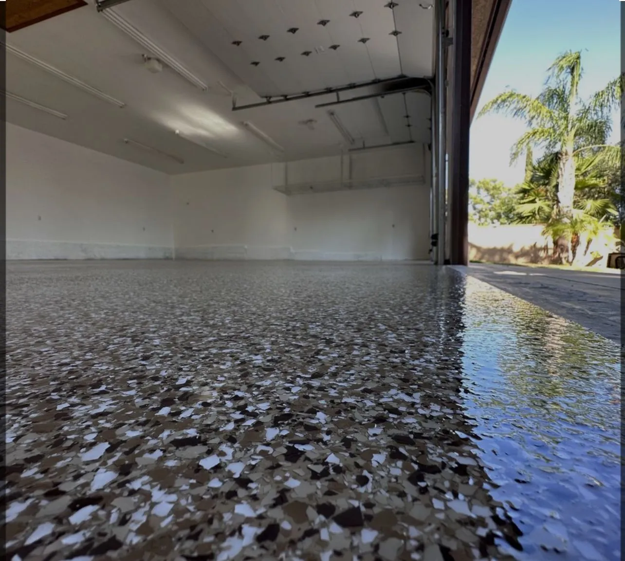 WhatsApp Image 2024-10-12 at 9.07.51 AM